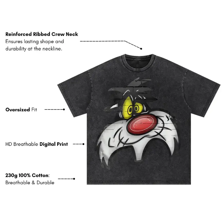 Sufferin Succotash Oversized Acid Wash T-shirt - Image 5