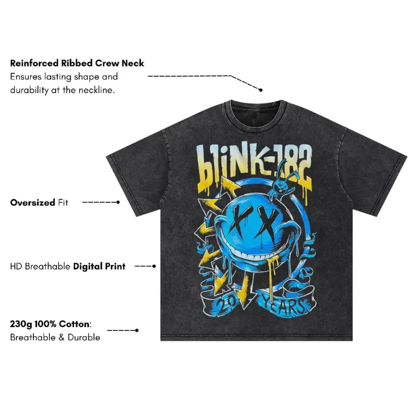 Blink 182 Twenty Years Oversized Acid Wash T-shirt - Image 5