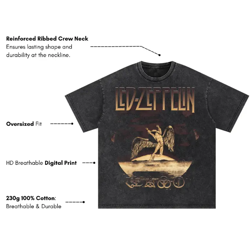 Led Zeppelin Swan Song Oversized Acid Wash T-shirt - Image 5