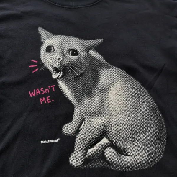 Wasnt me cat graphic tee 3 wasnt20me20cat print20detail.webp