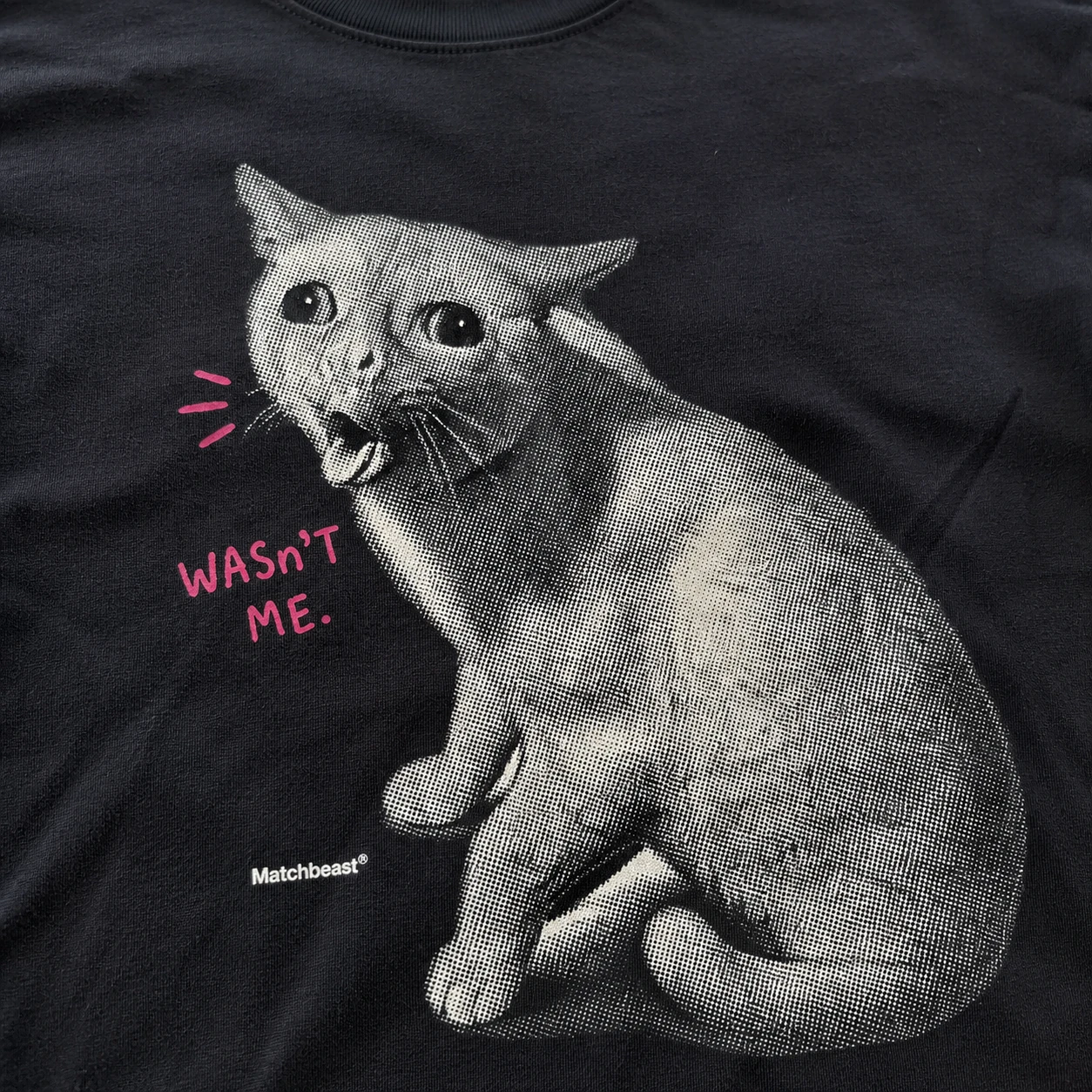 Wasnt me cat graphic tee 3 wasnt20me20cat print20detail.webp