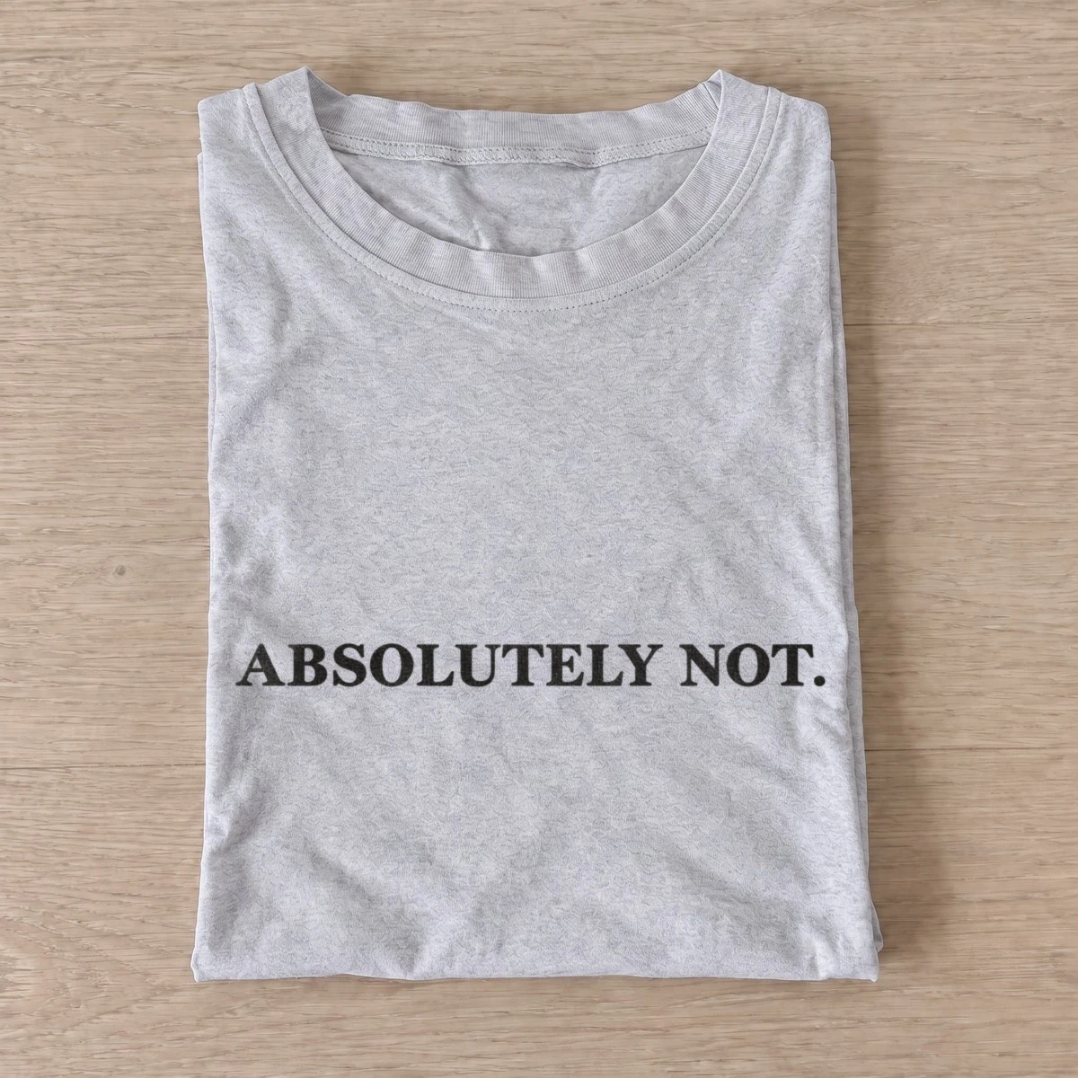 Absolutely not slogan t shirt gray20absolutely not.webp