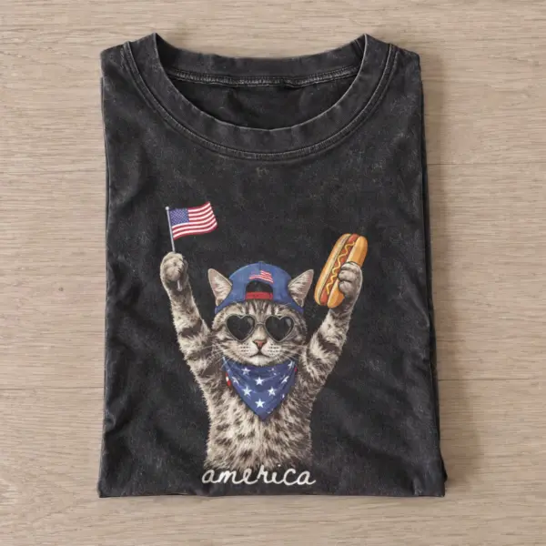 America hotdog cat vintage t shirt washed20black20america hotdog cat.webp