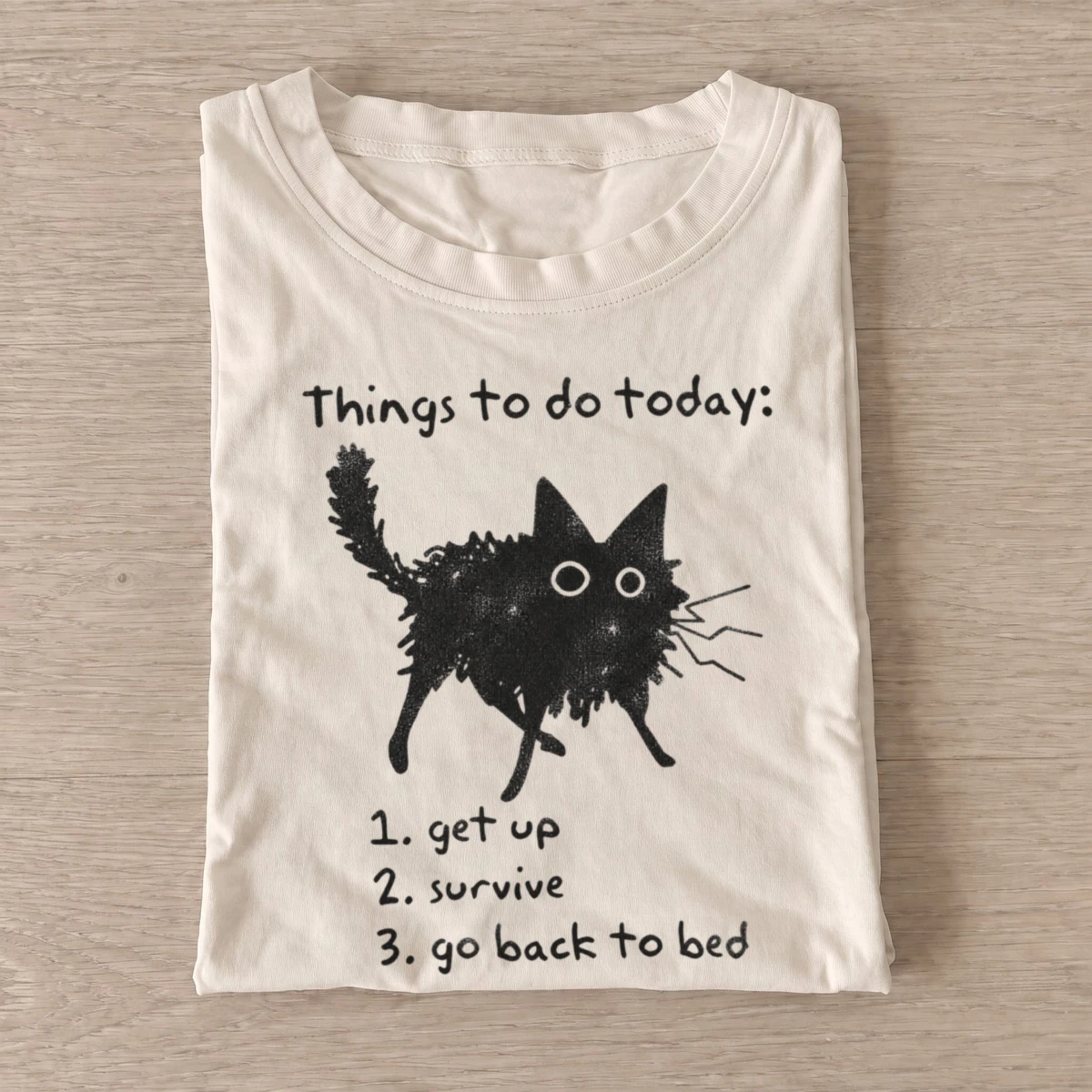 Cat daily agenda things to do today t shirt sand20cat daily agenda.webp