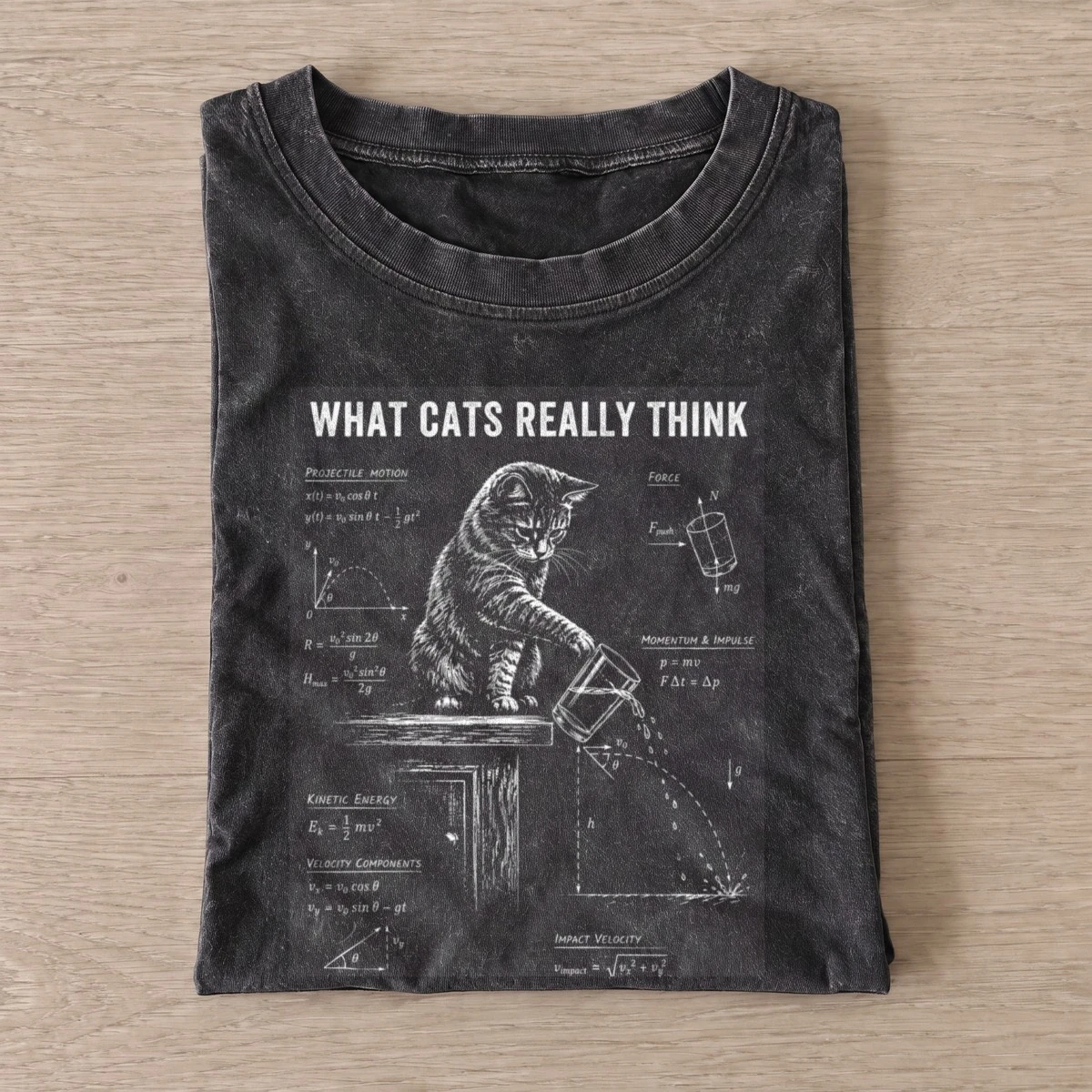 Cat physics vintage t shirt washed20black20cat physics.webp