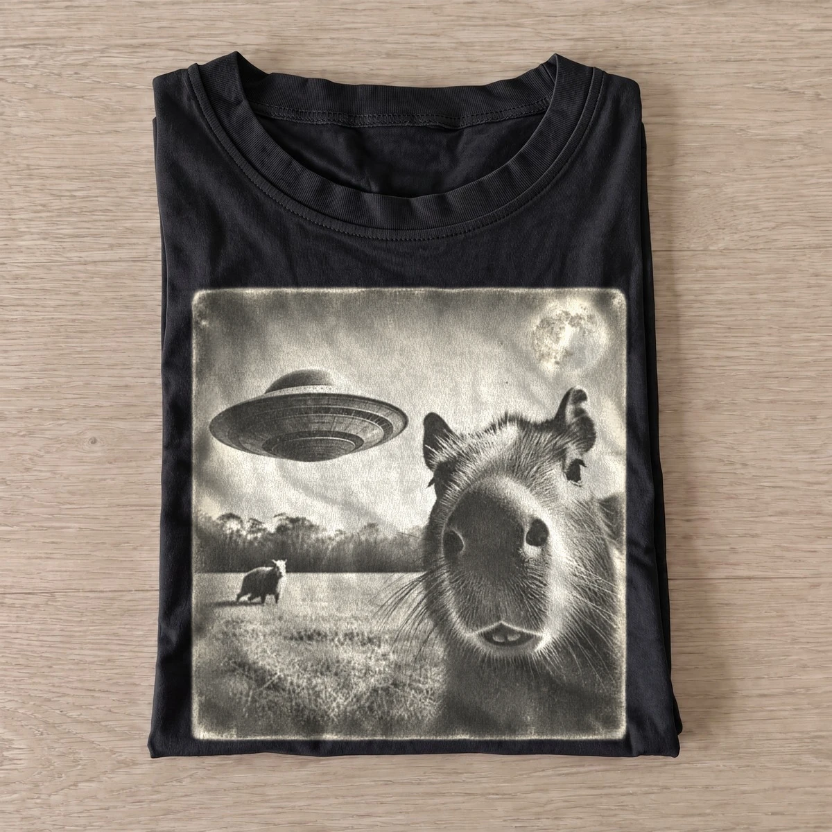 Cosmic capybara ufo graphic t shirt black20cosmic capybara.webp