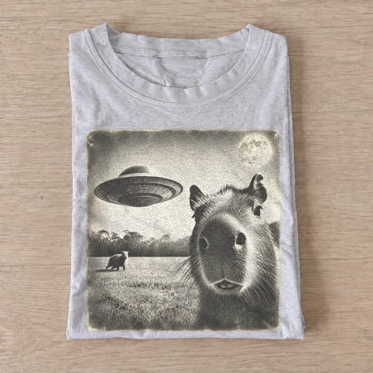 Cosmic capybara ufo graphic t shirt gray20cosmic capybara.webp