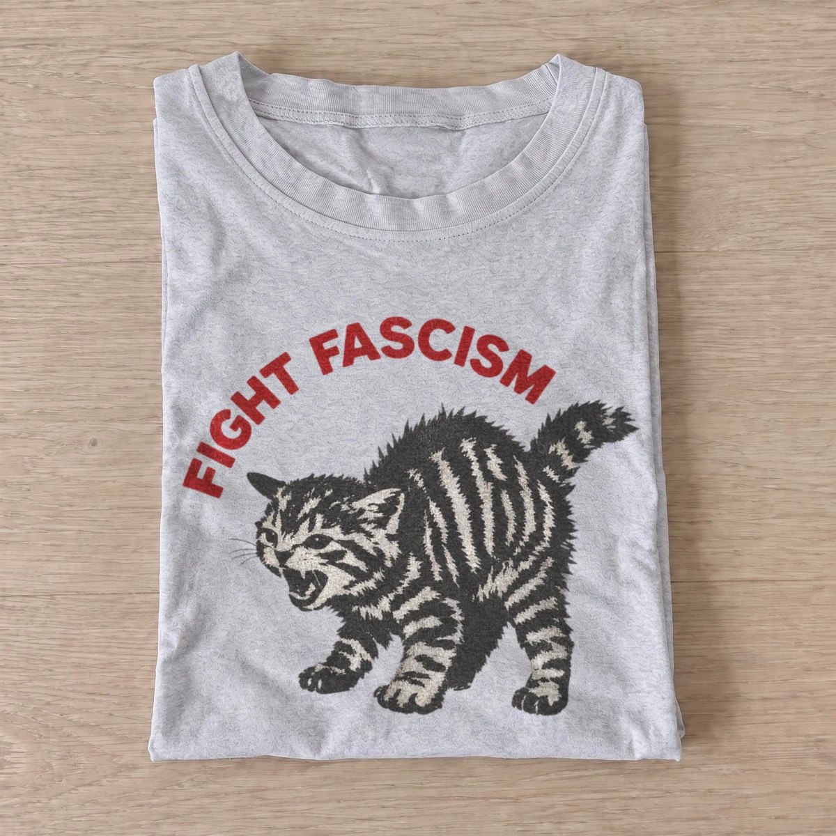Fight fascism cat t shirt gray20fight fascism cat.webp