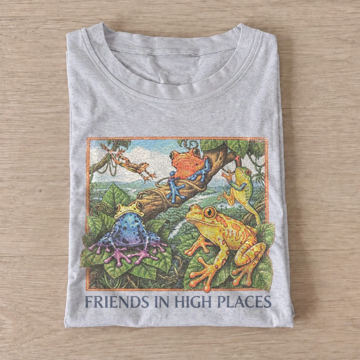 Friends in high places frogs t shirt gray20high places frogs.webp