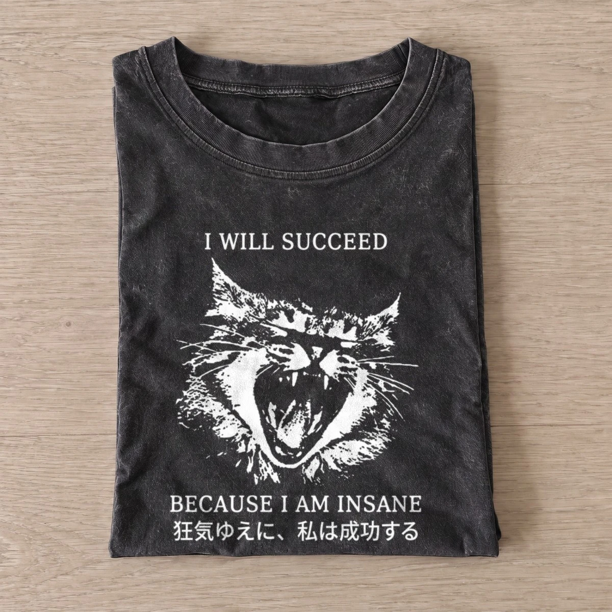 Insane success cat vintage t shirt washed20black20insane success cat.webp