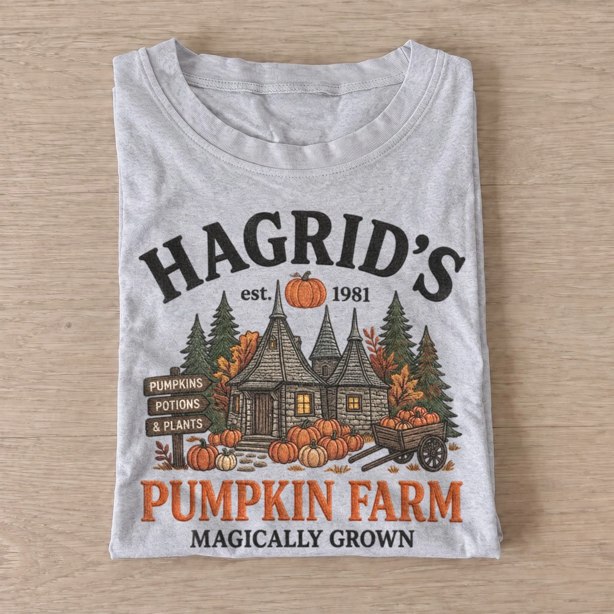 Magical pumpkin farm t shirt gray20magical pumpkin farm.webp