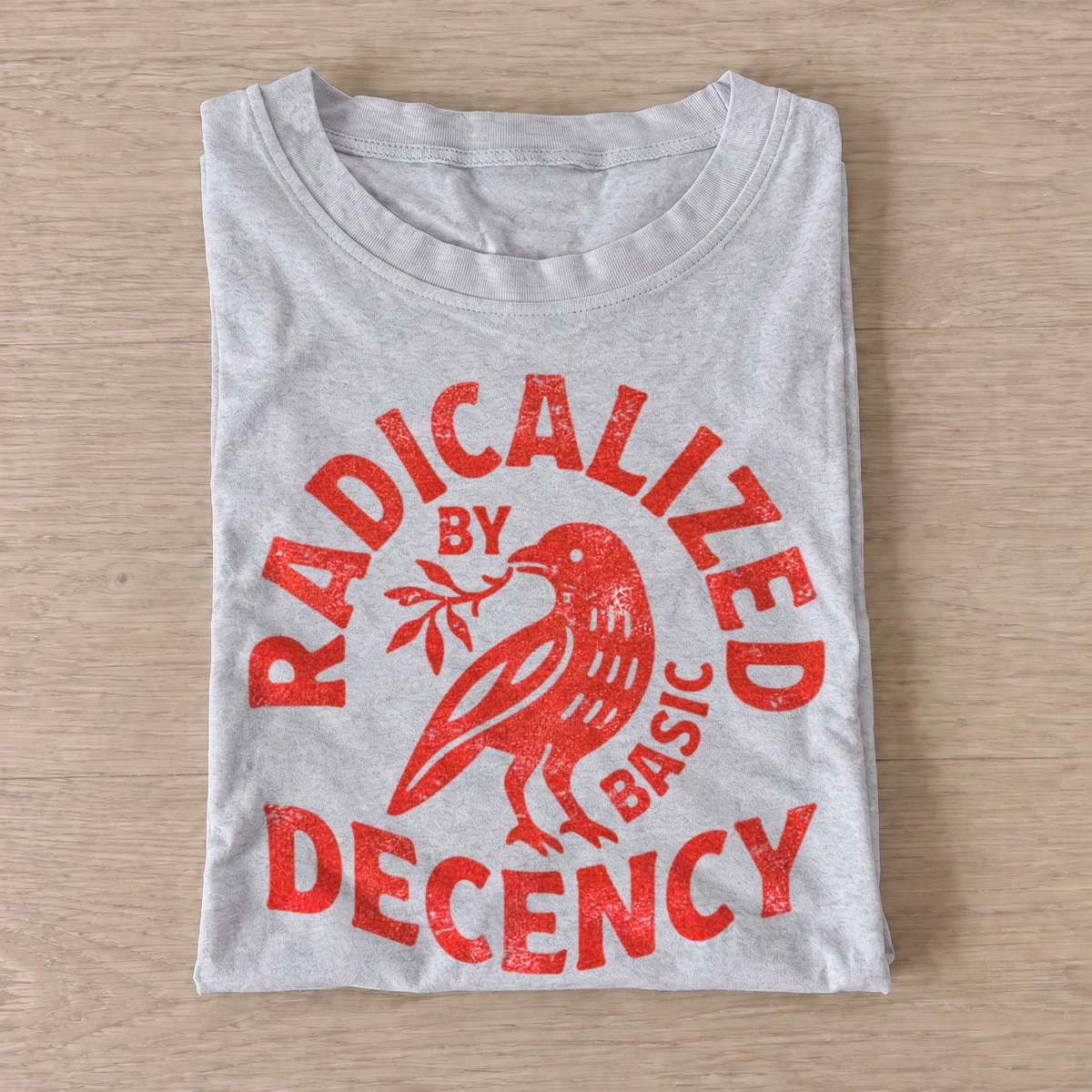 Radicalized by basic decency crow t shirt gray20radical decency crow.webp