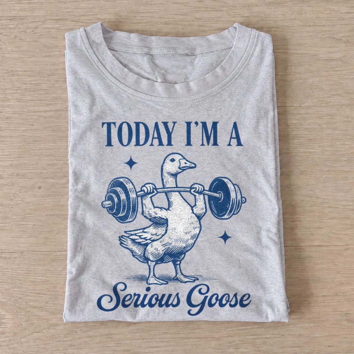Today im a serious goose lifter t shirt gray20serious goose lifter.webp